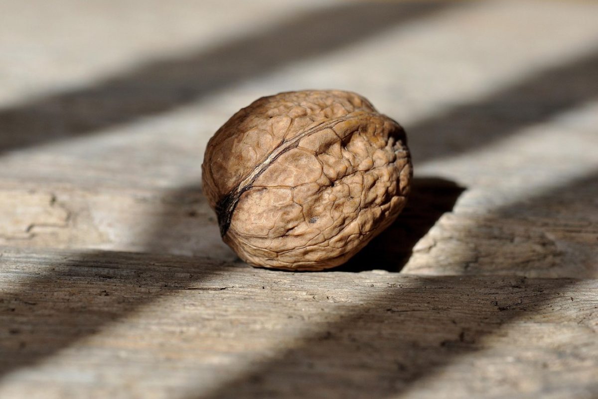 Aliments anti-inflammatoires pour la récupération sportive