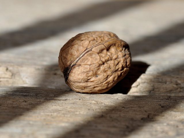 Aliments anti-inflammatoires pour la récupération sportive