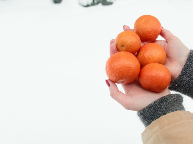 Quels aliments privilégier cet hiver pour booster votre énergie ?