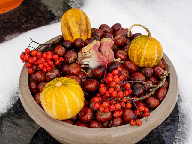 Bien choisir ses fruits et légumes en hiver pour rester en forme