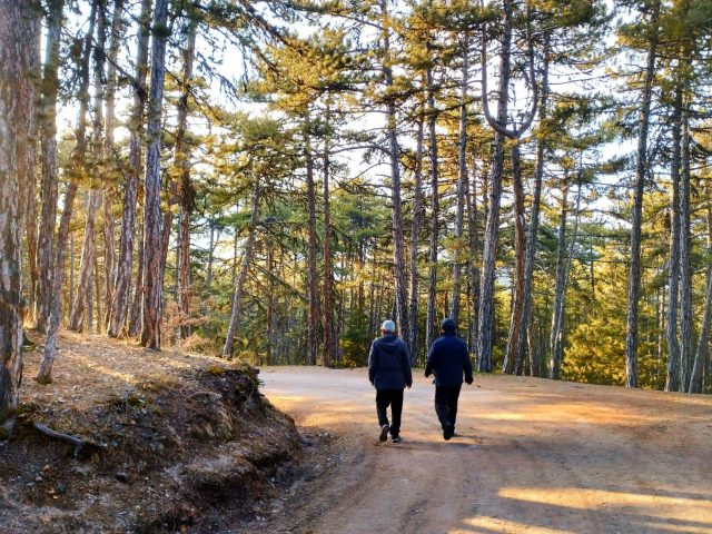 Comment débuter et progresser en marche sportive ?